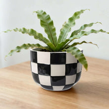 Mainstays Lennon Round Black Checkered Ceramic Planter