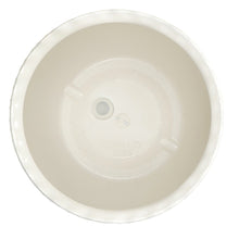 MS-6IN-BROOKE-PLA-VD_ea54d993-d24_53e16617-17b0-4052-bce0-7111908c028d - USA Mega Market