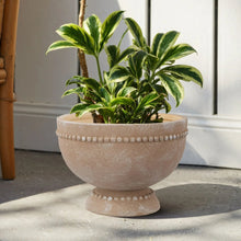 My Texas House 8" Dot Bowl Ceramic Plant Pot 8.1" Diameter