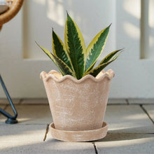 My Texas House 8 inch Ceramic Wave Planter
