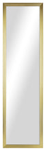Mainstays 13x49 Gold Rectangle Large Wall Mirror for Bathroom or Living Room