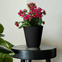 Mainstays Black Resin Self-Watering Planter