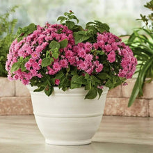 Mainstays 14" D x 10" H Ferenza Recycled Resin Planter