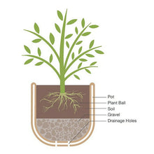 Mainstays 14" D x 10" H Ferenza Recycled Resin Planter