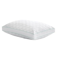MarthaStewartGardenTrellisQuiltedPillow_2-pack2 - USA Mega Market
