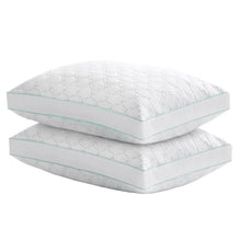 Martha Stewart Garden Trellis Quilted Pillow, 2-pack