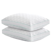 MarthaStewartGardenTrellisQuiltedPillow_2-pack - USA Mega Market