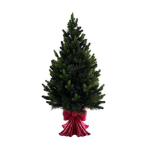 Member-s-Mark-48-Pre-Lit-Topiary-in-Red-Bow-Container-3-_2_849d0e67-5355-40fa-900c-915ffb0884f8 - USA Mega Market