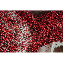 Member-s-Mark-Clinical-Strength-Cranberry-Capsules-500-mg-150-ct-3-_5 - USA Mega Market