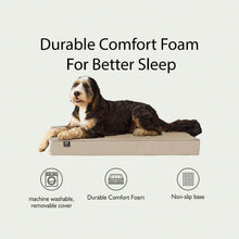 Member's Mark Lounger Pet Bed, 30"x40", Choose Color