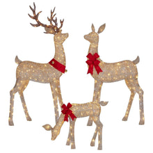 Member-s-Mark-Pre-Lit-Animated-Deer-Family-Set-of-3-5-_2 - USA Mega Market
