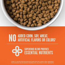 Member-sMark-PrimeFeastwithChicken-SalmonDryCatFood-25lbs-1-_5 - USA Mega Market
