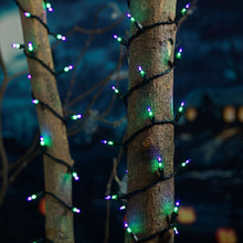 Member's Mark 100ct Dual Color Mini LED Lights, 22.3' Lighted Length