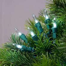 Member's Mark 200ct LED Mini Lights, 43.1' Lighted Length