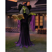 Member-sMark9-Pre-LitAnimatedSpell-CastingWitch3-_1 - Brands For Less USA