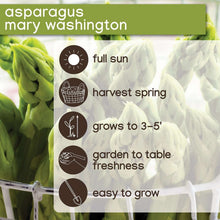 Member-sMarkAsparagusMaryWashington-24pk3-_6 - USA Mega Market