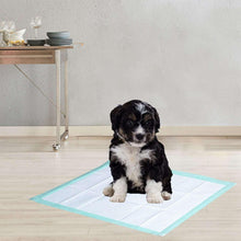 Member-sMarkMultipurposeAbsorbentPads-23x24-120ct-_12 - USA Mega Market