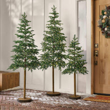 Member-sMarkPre-LitAlpineTreeDecor-Setof36-_1 - USA Mega Market