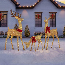 Member-sMarkPre-LitAnimatedDeerFamily-Setof36-_1 - USA Mega Market
