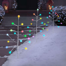 Member-sMarkPre-LitBlossomPathwayLights-Setof35-_1 - USA Mega Market