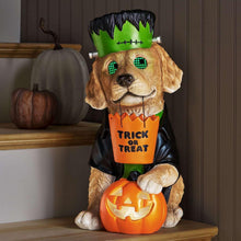 Member-sMarkPre-LitWonkyEyeCharacterDecor3-_1 - Brands For Less USA