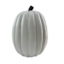 Member_sMark13.75Pre-LitPumpkinScene1 - Brands For Less USA