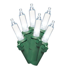 Member_sMark200ctLEDMiniLights_43.1_LightedLength1 - USA Mega Market