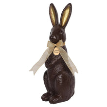 Member's Mark 24" Chocolate Bunny Décor