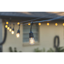Member's Mark 48' Outdoor LED Café String Lights, 24 Bulbs