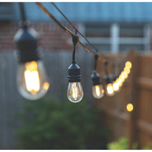 Member's Mark 48' Outdoor LED Café String Lights, 24 Bulbs