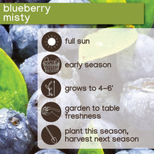 Member_sMarkBlueberryMisty_Sharpblue_2pk4 - USA Mega Market