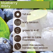 Member's Mark Blueberry Misty & Sharpblue, 2pk