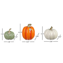 Member_sMarkDecorativePumpkins_Setof3_508ad140-89d3-4519-b759-706599444c75 - USA Mega Market