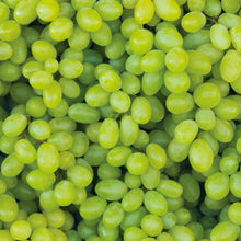 Member_sMarkGrapeHimrodWhiteSeedless_2pk4 - USA Mega Market