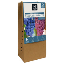 Member_sMarkGrapeSeedlessCandice_Concord_2pk9 - USA Mega Market
