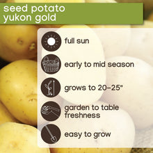 Member_sMarkOnions_Potatoes_72pk3 - USA Mega Market