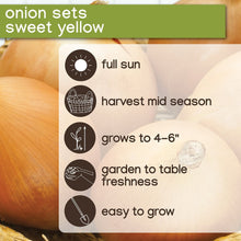 Member_sMarkOnions_Potatoes_72pk4 - USA Mega Market