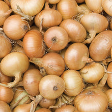 Member_sMarkOnions_Potatoes_72pk7 - USA Mega Market