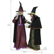 Member_sMarkPre-LitAnimatedCrystalBallWitches_Setof22 - Brands For Less USA