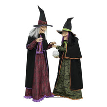 Member_sMarkPre-LitAnimatedCrystalBallWitches_Setof23 - Brands For Less USA