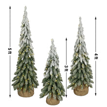 Member_sMarkPre-LitFrostedTopiaries_Setof32 - USA Mega Market