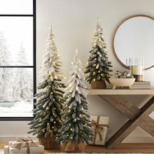 Member_sMarkPre-LitFrostedTopiaries_Setof3 - USA Mega Market