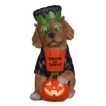 Decoración de personaje con ojo bizco preiluminado Member's Mark 