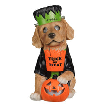 Decoración de personaje con ojo bizco preiluminado Member's Mark 