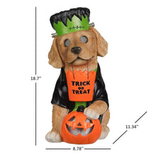 Member_sMarkPre-LitWonkyEyeCharacterDecor - Brands For Less USA