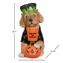 Decoración de personaje con ojo bizco preiluminado Member's Mark 