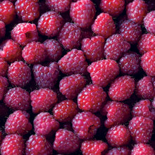 Member_sMarkRaspberryFallGold_PurpleRoyalty_2pk7 - USA Mega Market