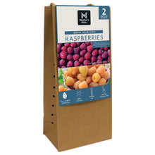 Member_sMarkRaspberryFallGold_PurpleRoyalty_2pk9 - USA Mega Market