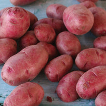Member_sMarkSeedPotatoes_24pk5 - USA Mega Market