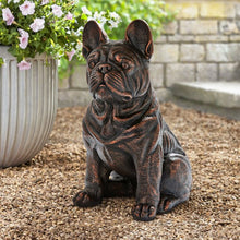 Member_sMarkSittingFrenchBullDogStatue - USA Mega Market